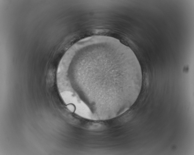 X0000112950475200910051223