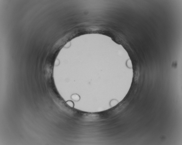 X0000112950476200910051223