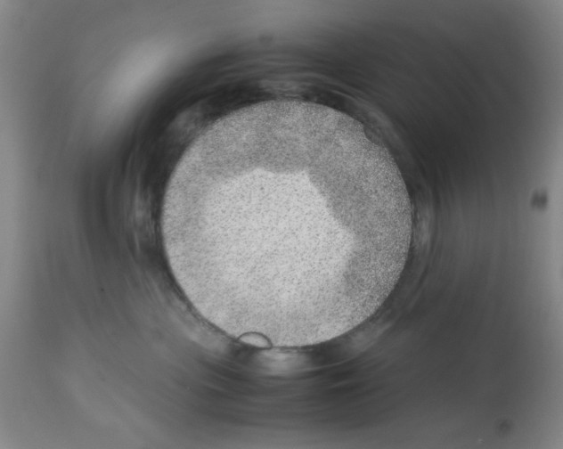 X0000112950477200910051223