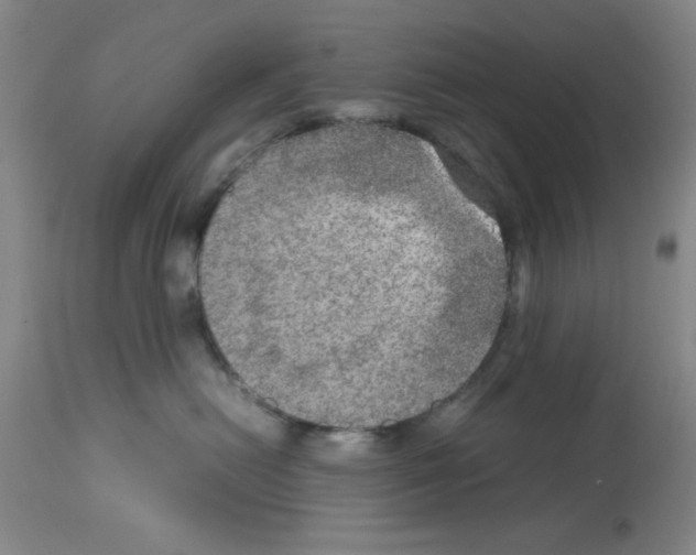 X0000112950478200910051223
