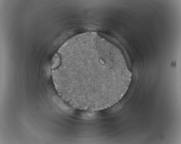 X0000112950479200910051223