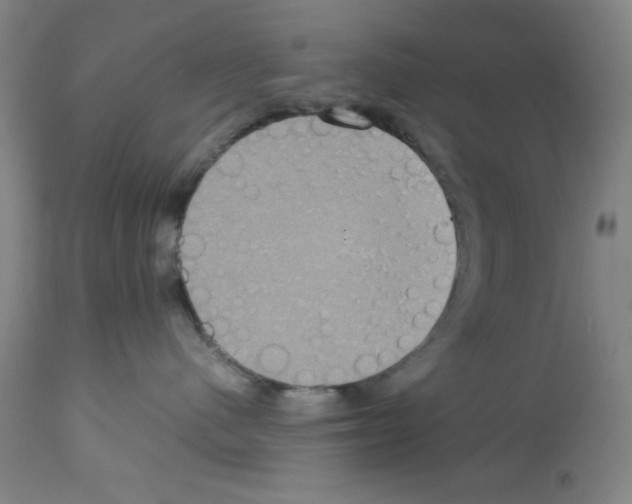 X0000112950480200910051223