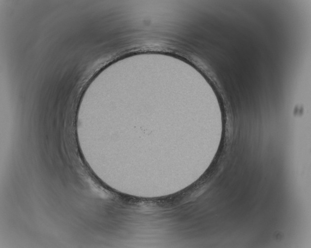 X0000112950481200910051222