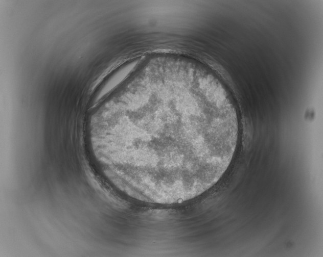 X0000112950482200910051222
