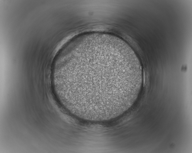 X0000112950483200910051222