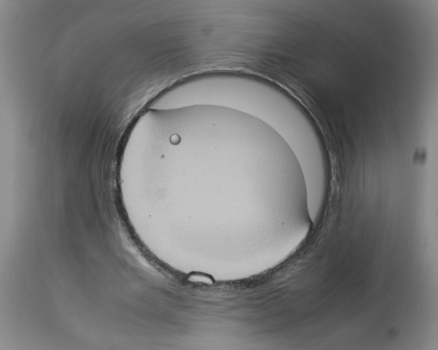 X0000112950485200910051222