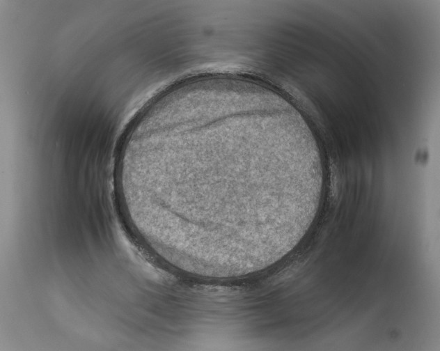 X0000112950486200910051222