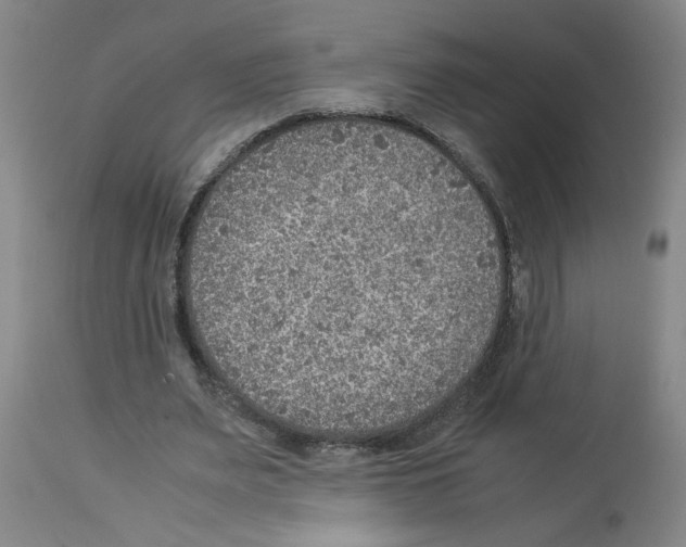 X0000112950487200910051222