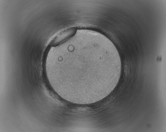 X0000112950488200910051222