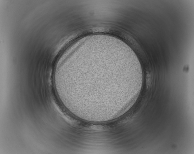 X0000112950490200910051222