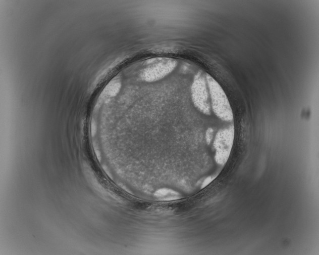 X0000112950491200910051222
