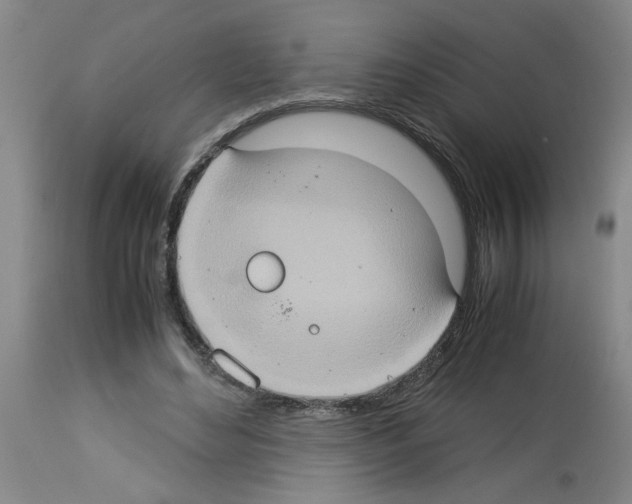 X0000112950492200910051222