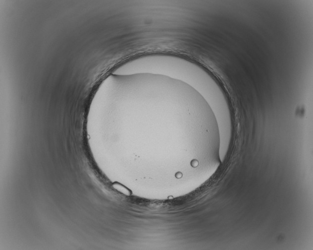 X0000112950493200910051222