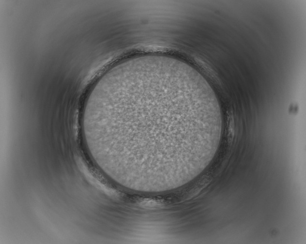 X0000112950494200910051222