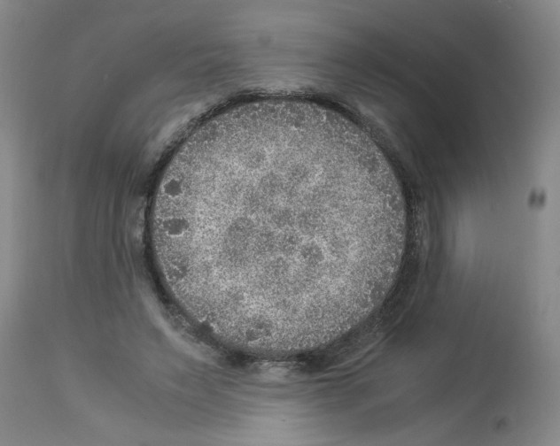 X0000112950495200910051222