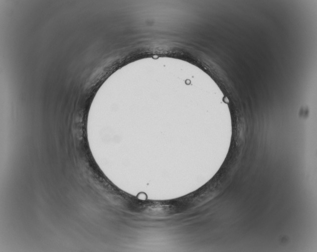 X0000112950497200910051222