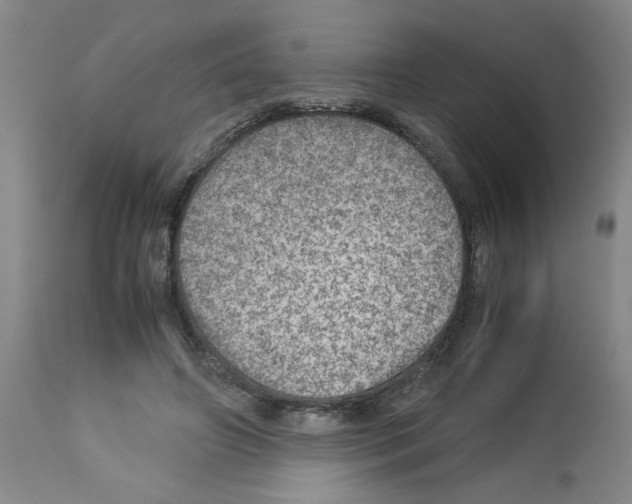 X0000112950498200910051222