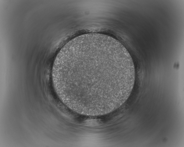 X0000112950499200910051222