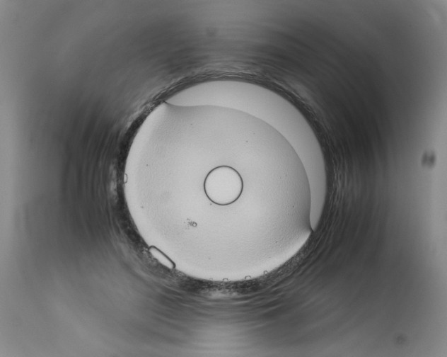 X0000112950500200910051222