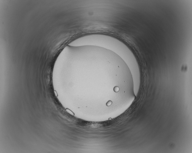 X0000112950501200910051222