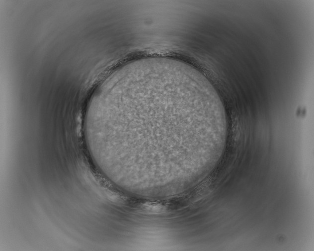 X0000112950502200910051222