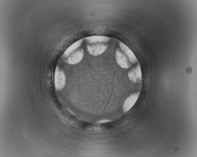 X0000112950503200910051222