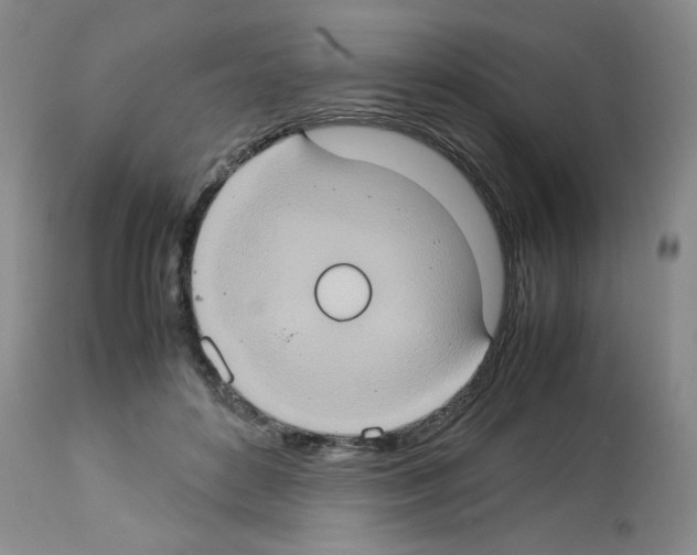 X0000112950504200910051222