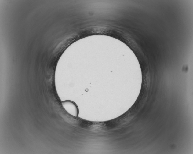 X0000112950505200910051222