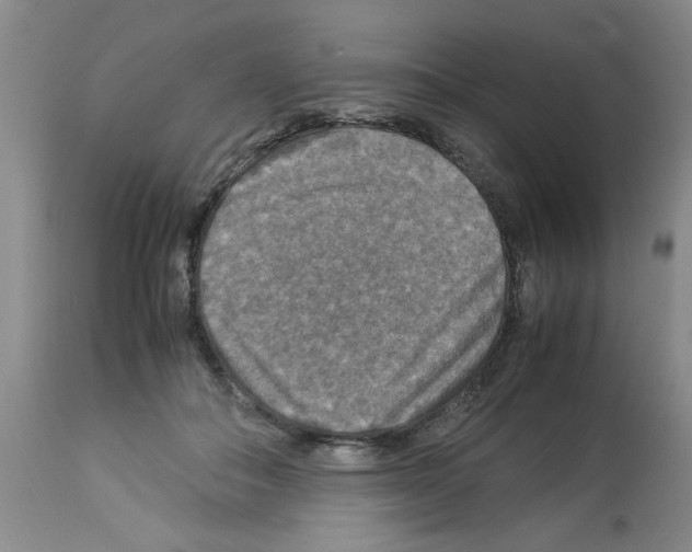 X0000112950506200910051222
