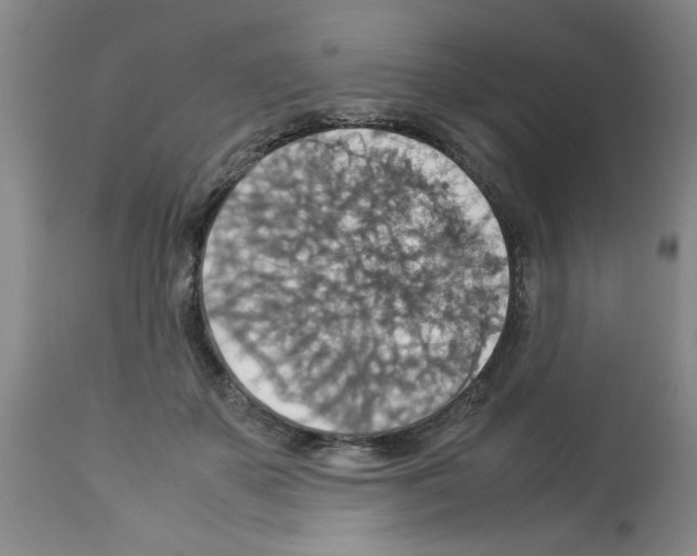 X0000112950507200910051222