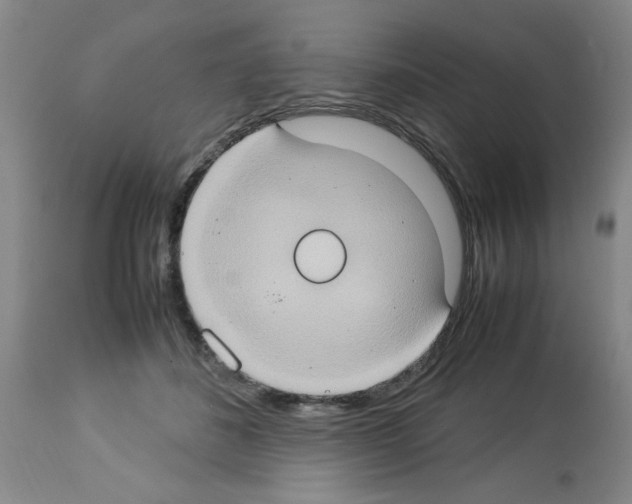 X0000112950508200910051222
