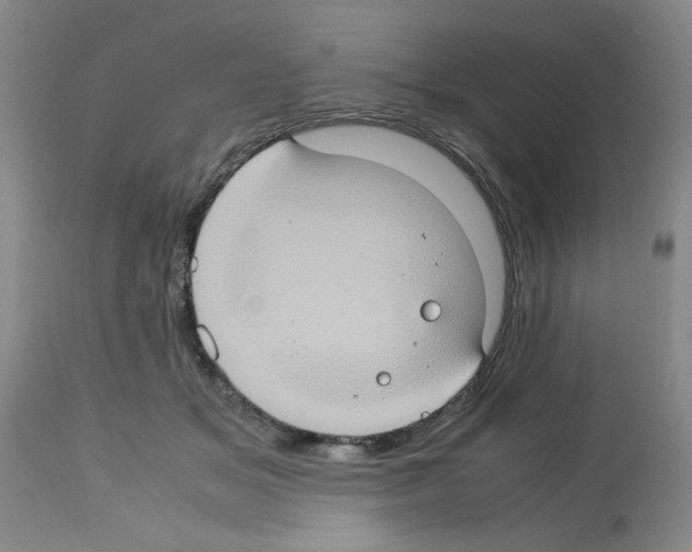 X0000112950509200910051222