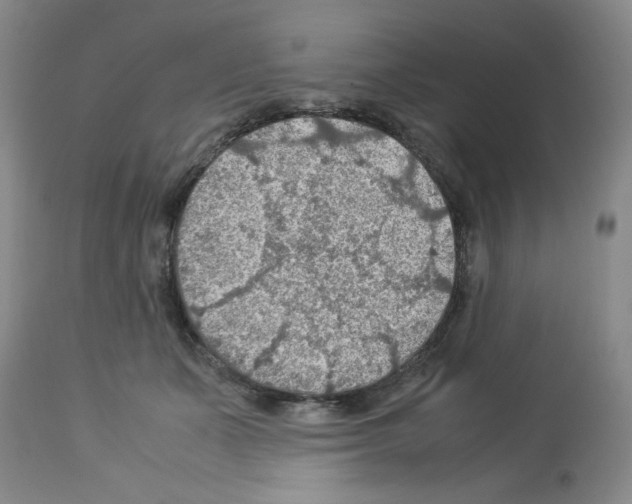 X0000112950511200910051222