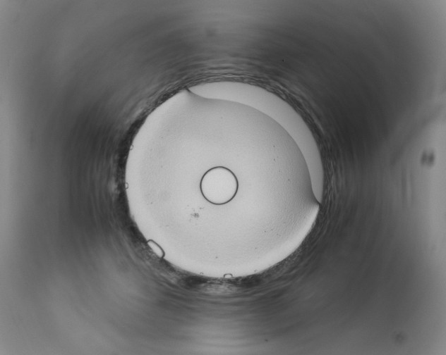 X0000112950512200910051222