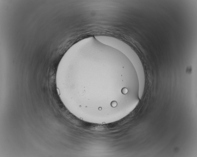 X0000112950513200910051222