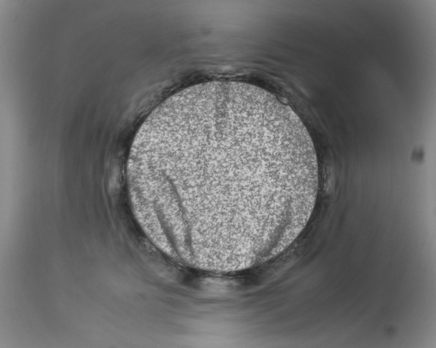 X0000112950515200910051222