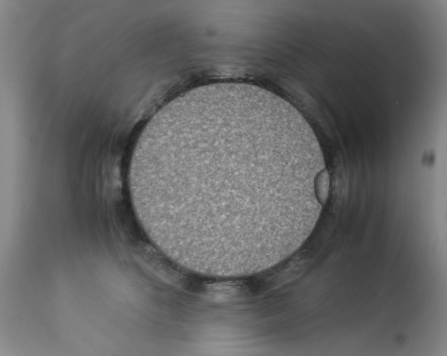 X0000112950516200910051222