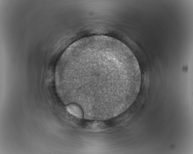 X0000112950517200910051222