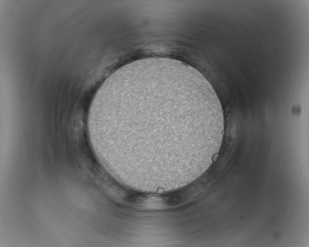 X0000112950518200910051222