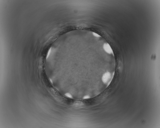 X0000112950519200910051222