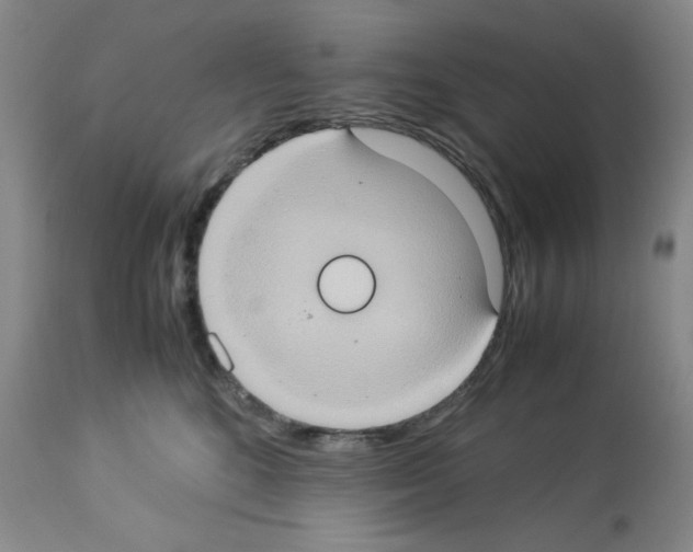 X0000112950520200910051222