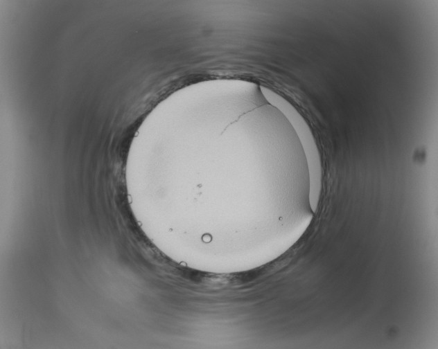 X0000112950521200910051222