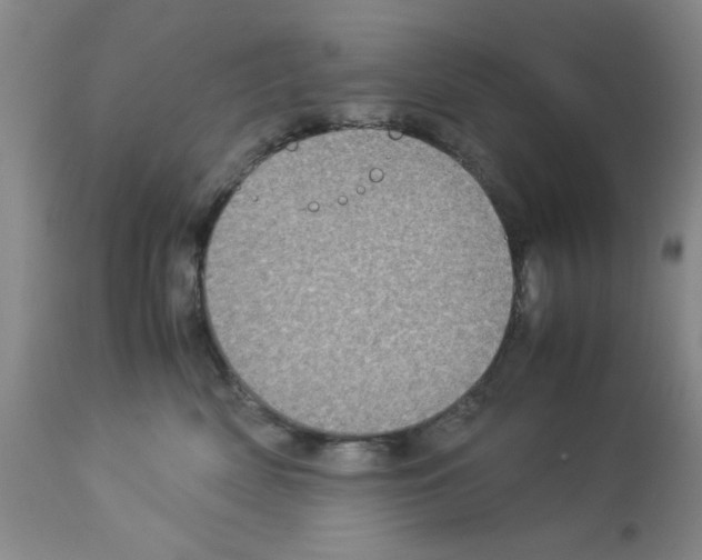 X0000112950522200910051222