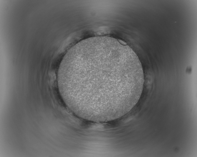 X0000112950523200910051222