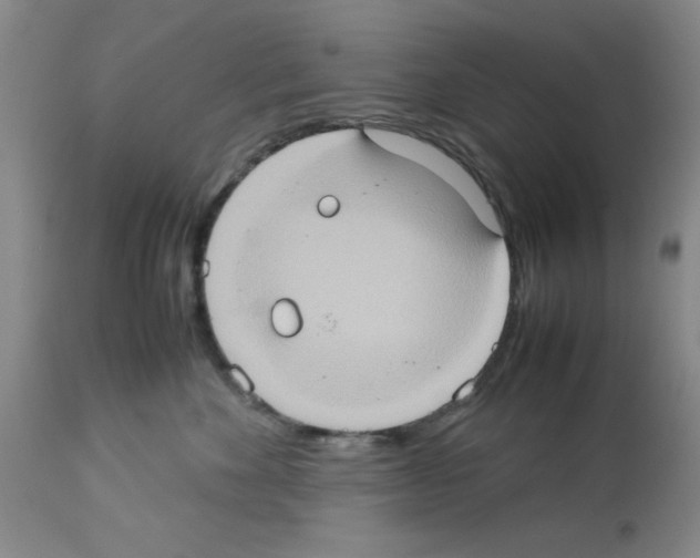 X0000112950524200910051222