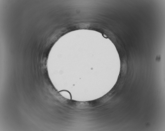 X0000112950525200910051222