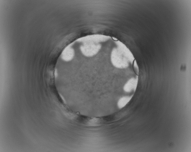 X0000112950527200910051222