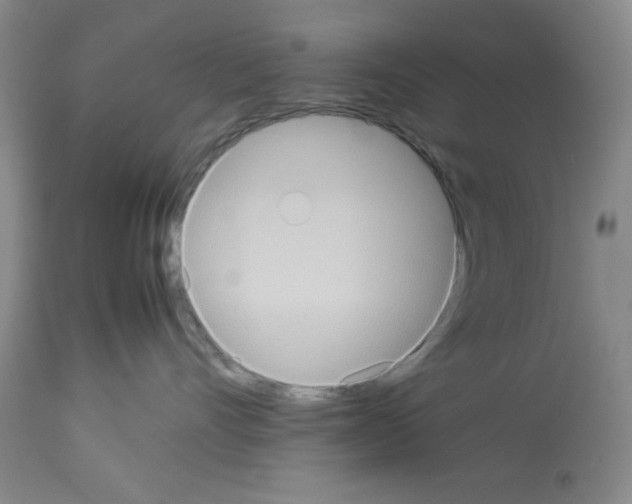 X0000112950528200910051222