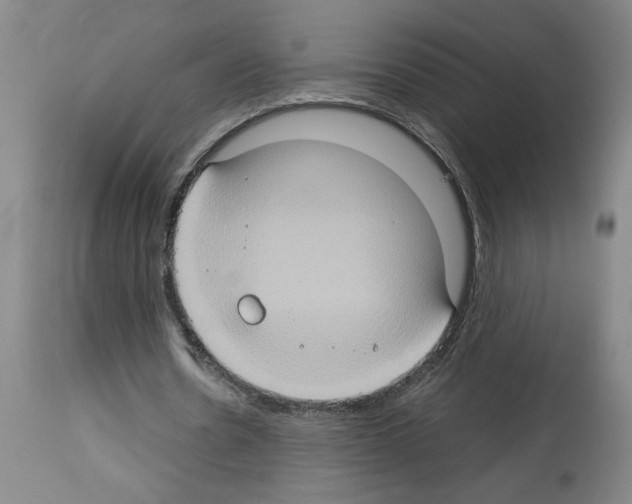 X0000112950530200910051221
