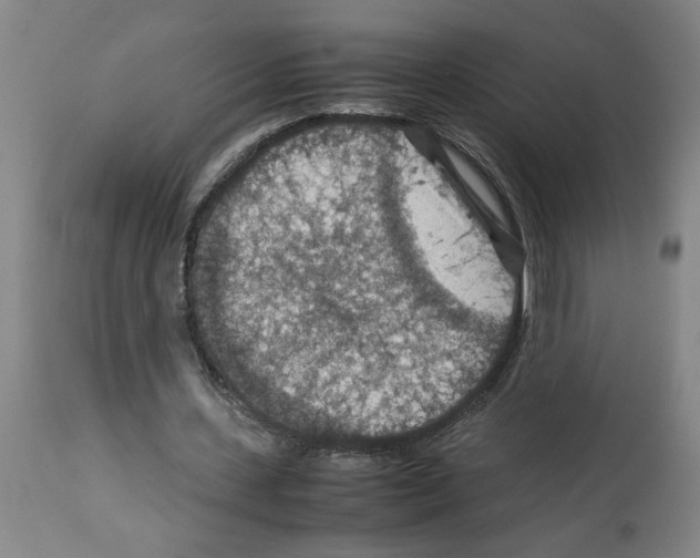 X0000112950531200910051221